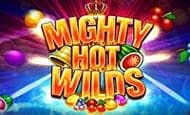 Mighty Hot Wilds Casino Slots
