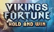 Vikings Fortune: Hold and Win Casino Slots