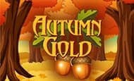 Autumn Gold Casino Slots