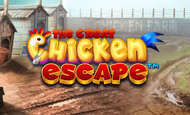 The Great Chicken Escape Casino Slots