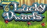 7 Lucky Dwarfs Casino Slots