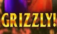 Grizzly Gold Casino Slots