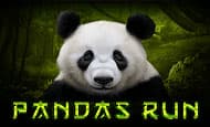 Pandas Run Casino Slots