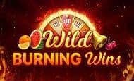 Wild Burning Wins: 5 Lines Casino Slots