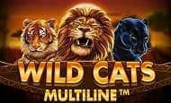 Wild Cats Multiline Casino Slots