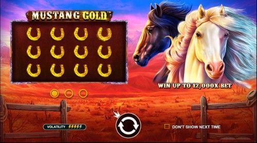 The Best 5 Pragmatic Play Slots Casino Games