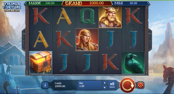 Vikings Fortune: Hold and Win Casino Slots