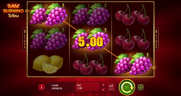 Wild Burning Wins: 5 Lines Casino Slots