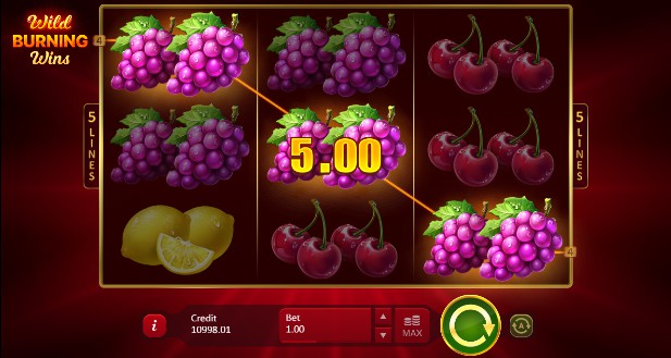 Wild Burning Wins: 5 Lines Casino Slots